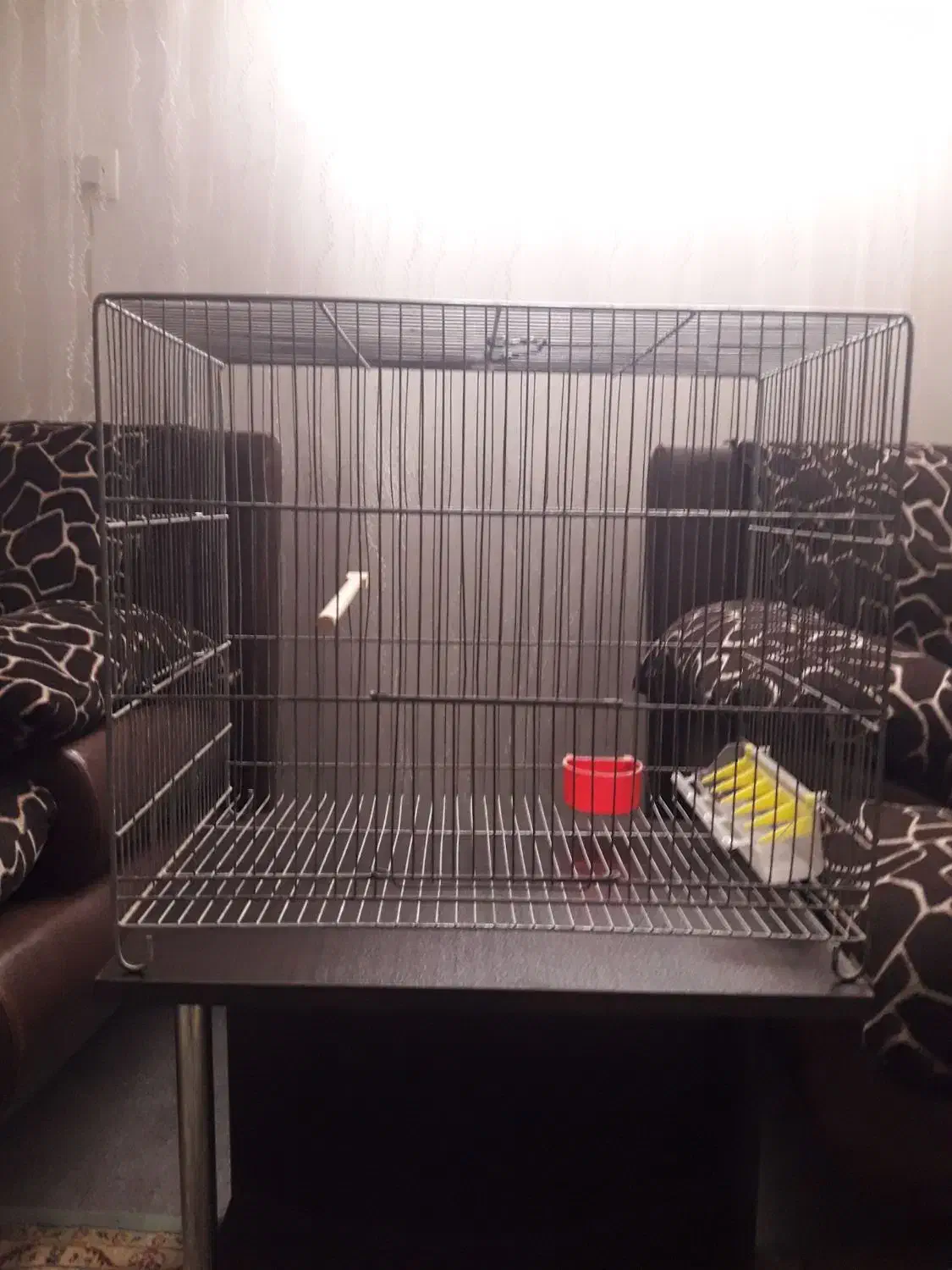 قفس پرنده|لوازم جانبی حیوانات|فردیس, فردیس|دیوار