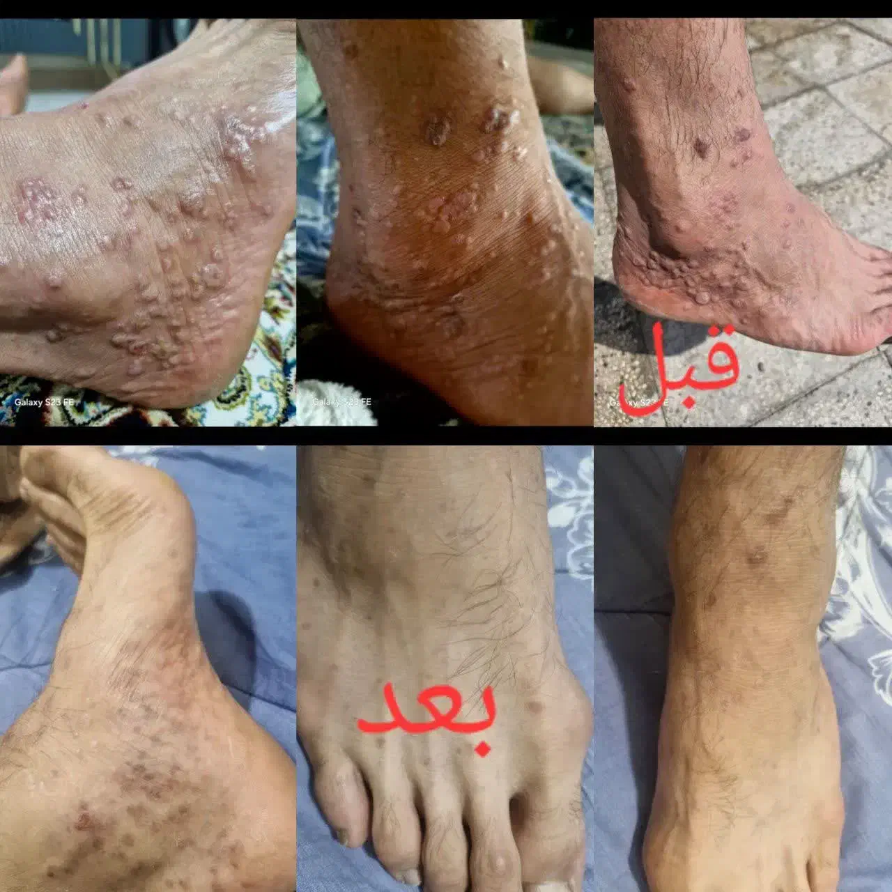 همایش طب سنتی|گردهمایی و همایش|خوسف, |دیوار