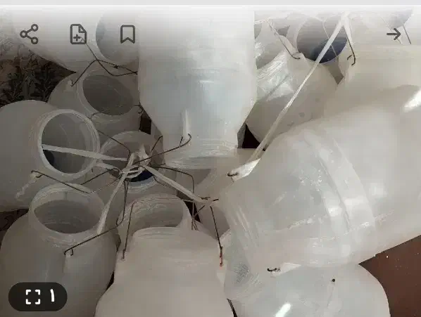 دبه ماست|ظروف نگهدارنده، پلاستیکی، یکبارمصرف|کاشان, طالقانی|دیوار