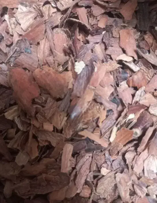 پودر جفت بلوط|عمدهفروشی|یاسوج, |دیوار