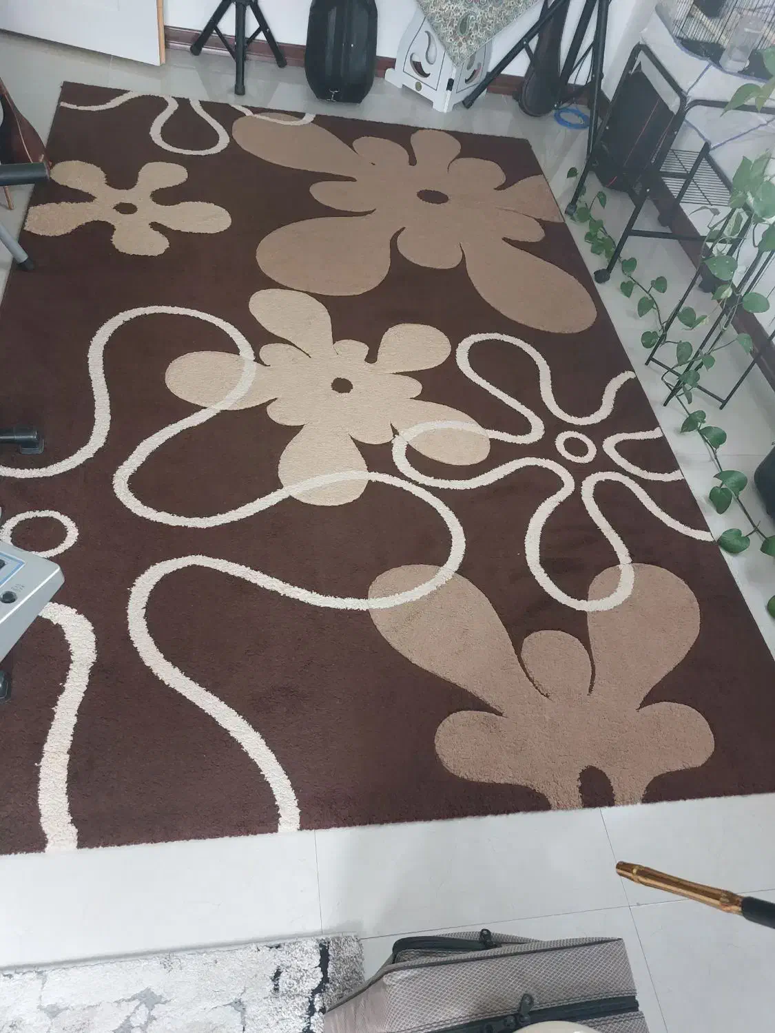 فرش فانتزی ۶متری و دوقالیچه همین طرح|فرش|رشت, پل تالشان|دیوار