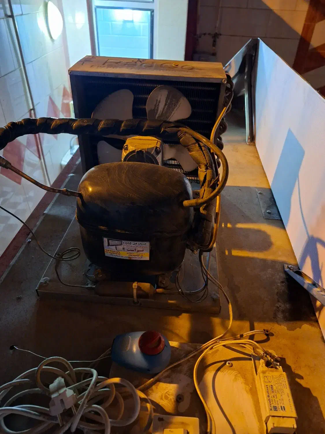 یخچال ویترینی|فروشگاه و مغازه|دزفول, |دیوار