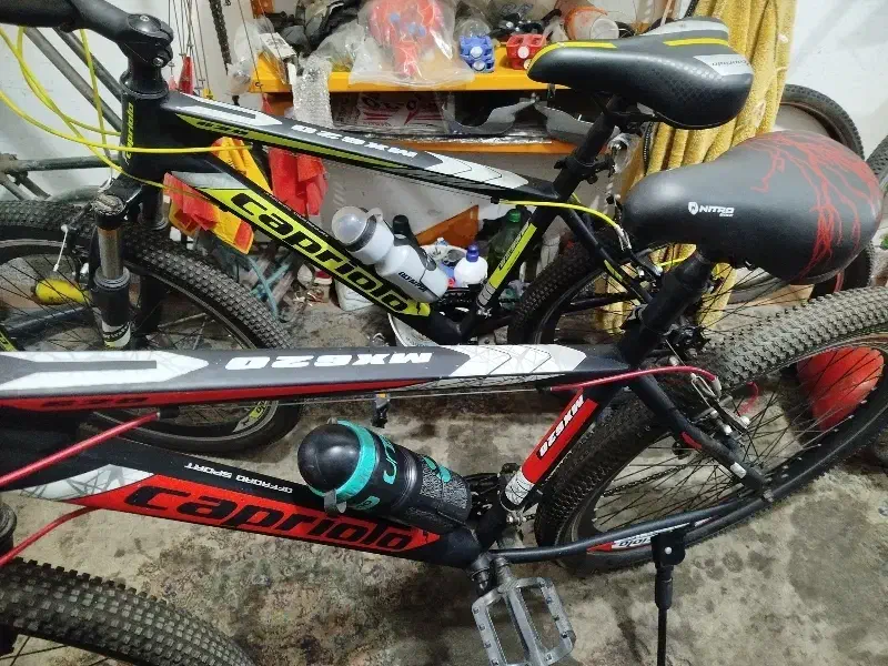 دوچرخه capriolo620shlmano|دوچرخه، اسکیت، اسکوتر|رشت, سیا اسطلخ|دیوار