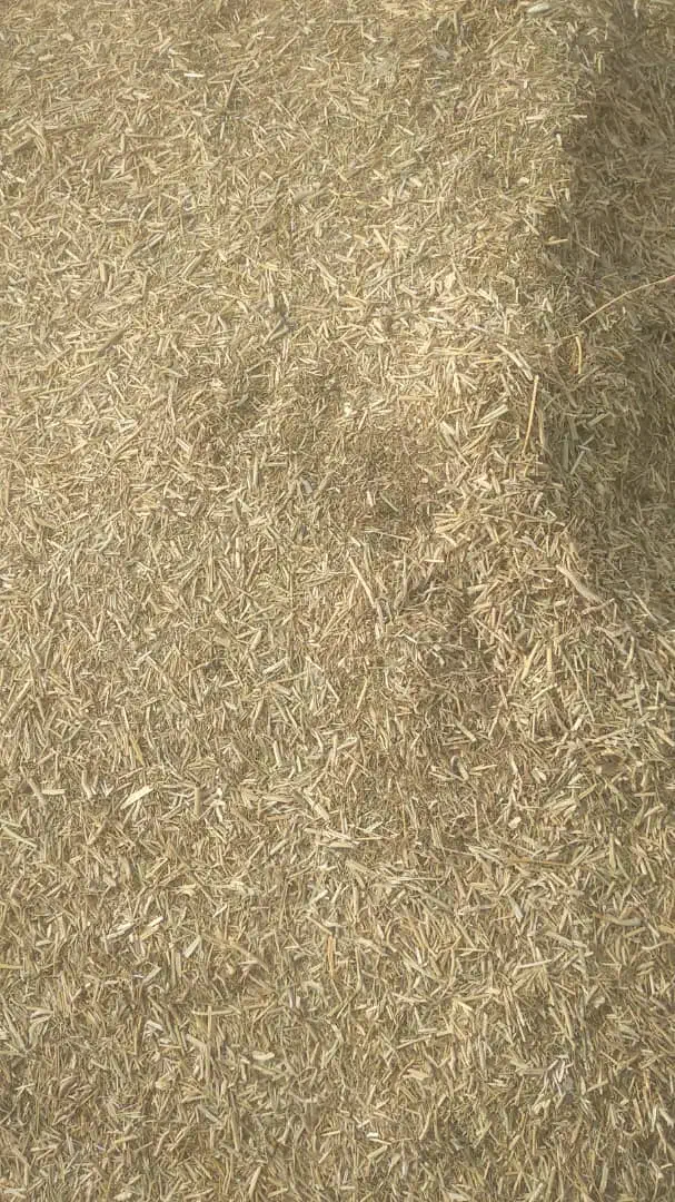 کاه علوفه|عمدهفروشی|کازرون, |دیوار