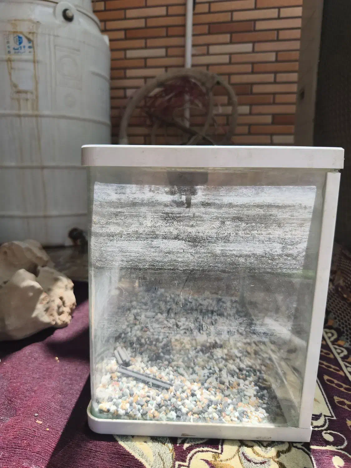 وقت بخیر آکواریوم شرکتی خمیده بدون جزعی ترین عیب|ماهی|اهواز, زرگان|دیوار