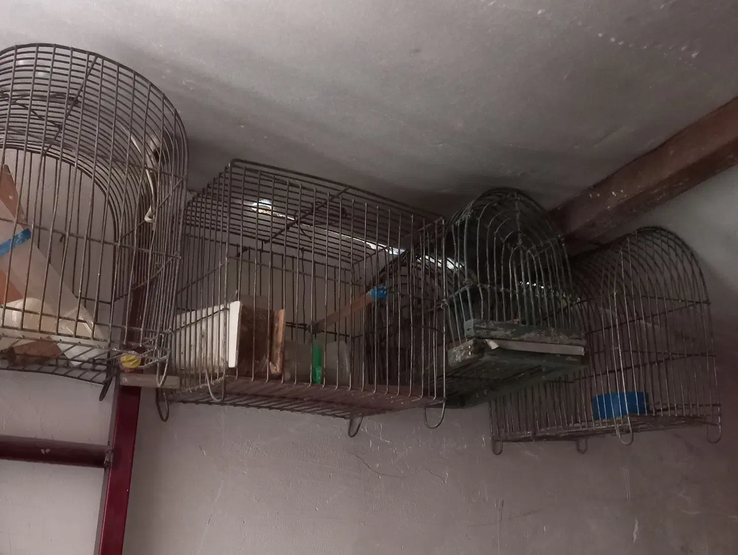 قفس|لوازم جانبی حیوانات|اراک, |دیوار