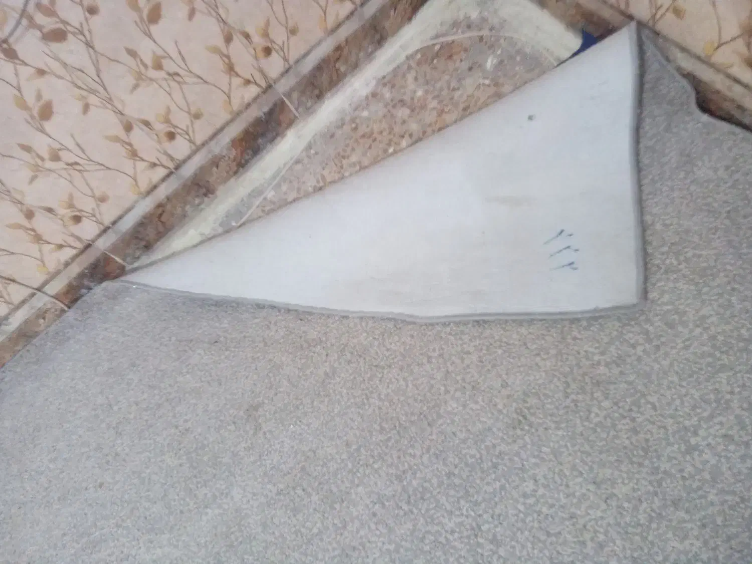 پالاز موکت|موکت|شوش, |دیوار