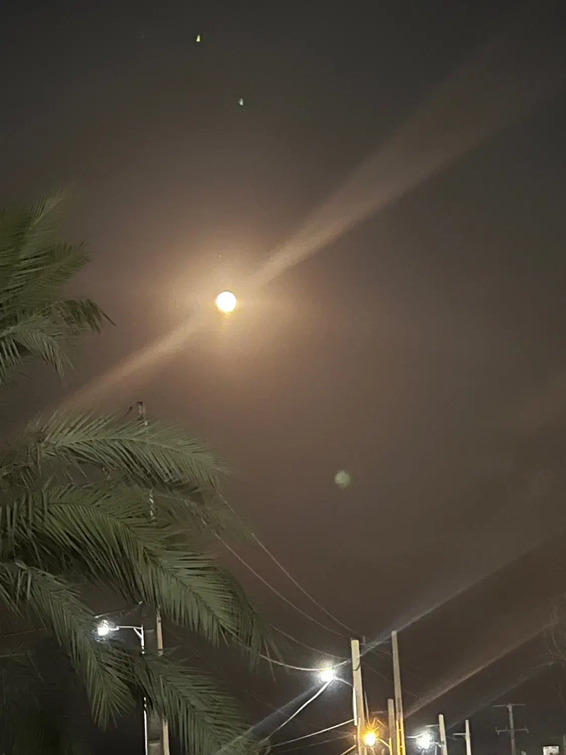 رهن و اجاره خانه|اجارهٔ خانه و ویلا|شبانکاره, |دیوار