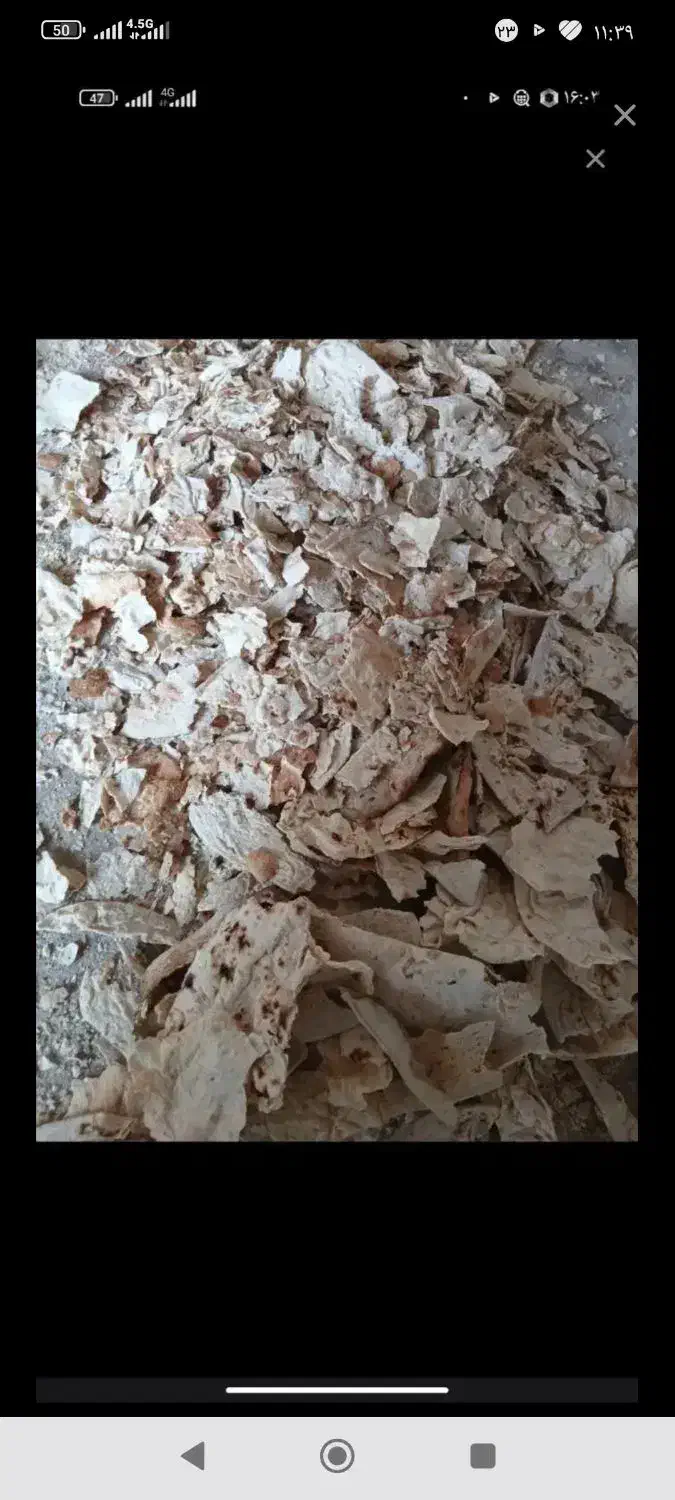 نون خشک|خوردنی و آشامیدنی|مسجد سلیمان, |دیوار