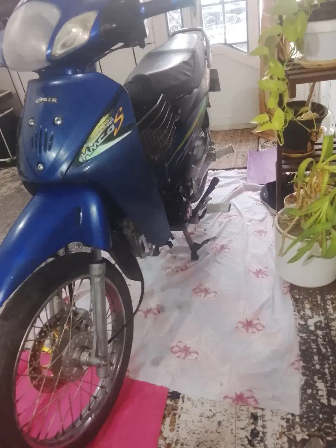 فروش|موتورسیکلت|دزفول, |دیوار