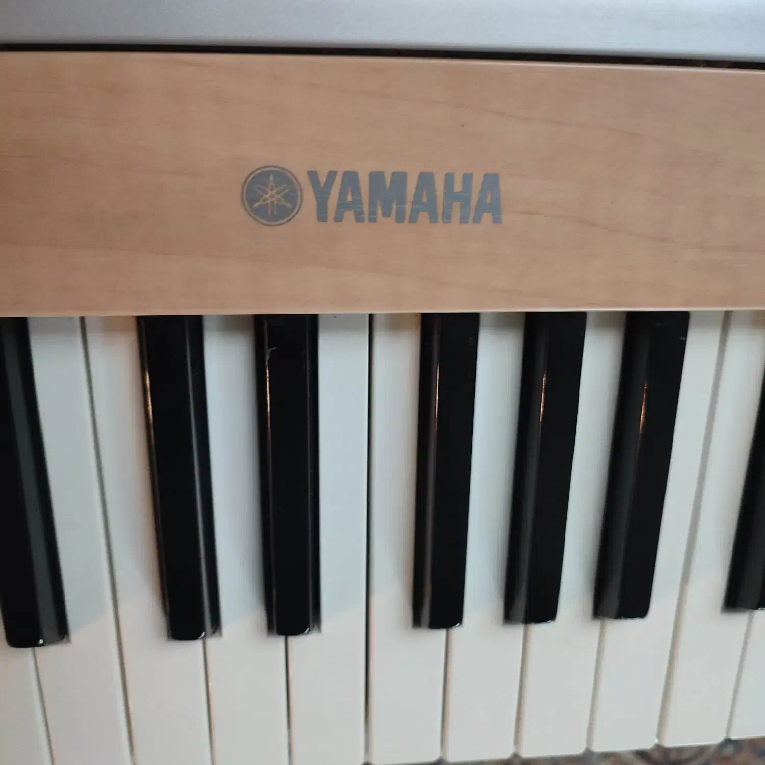 پیانو دیجیتال یاماها Yamaha|پیانو، کیبورد، آکاردئون|گرگان, |دیوار