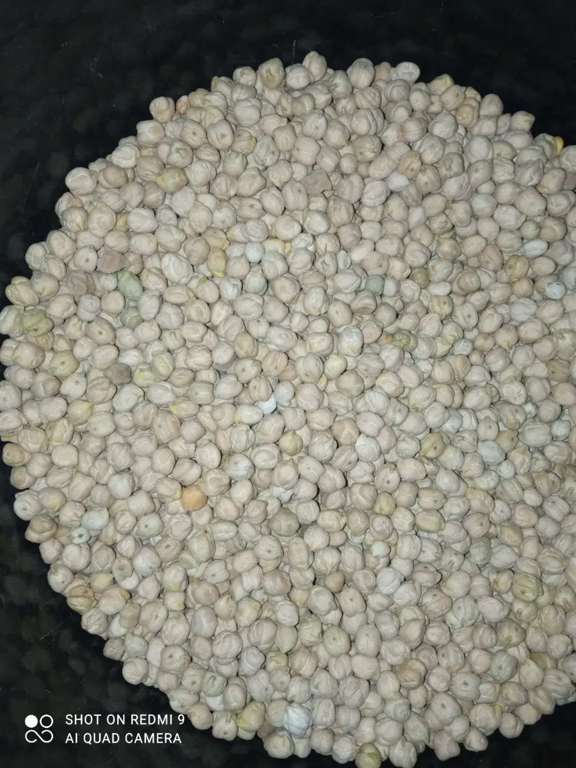 نخود کرمانشاه کیلویی 150تومن|عمدهفروشی|هشترود, |دیوار