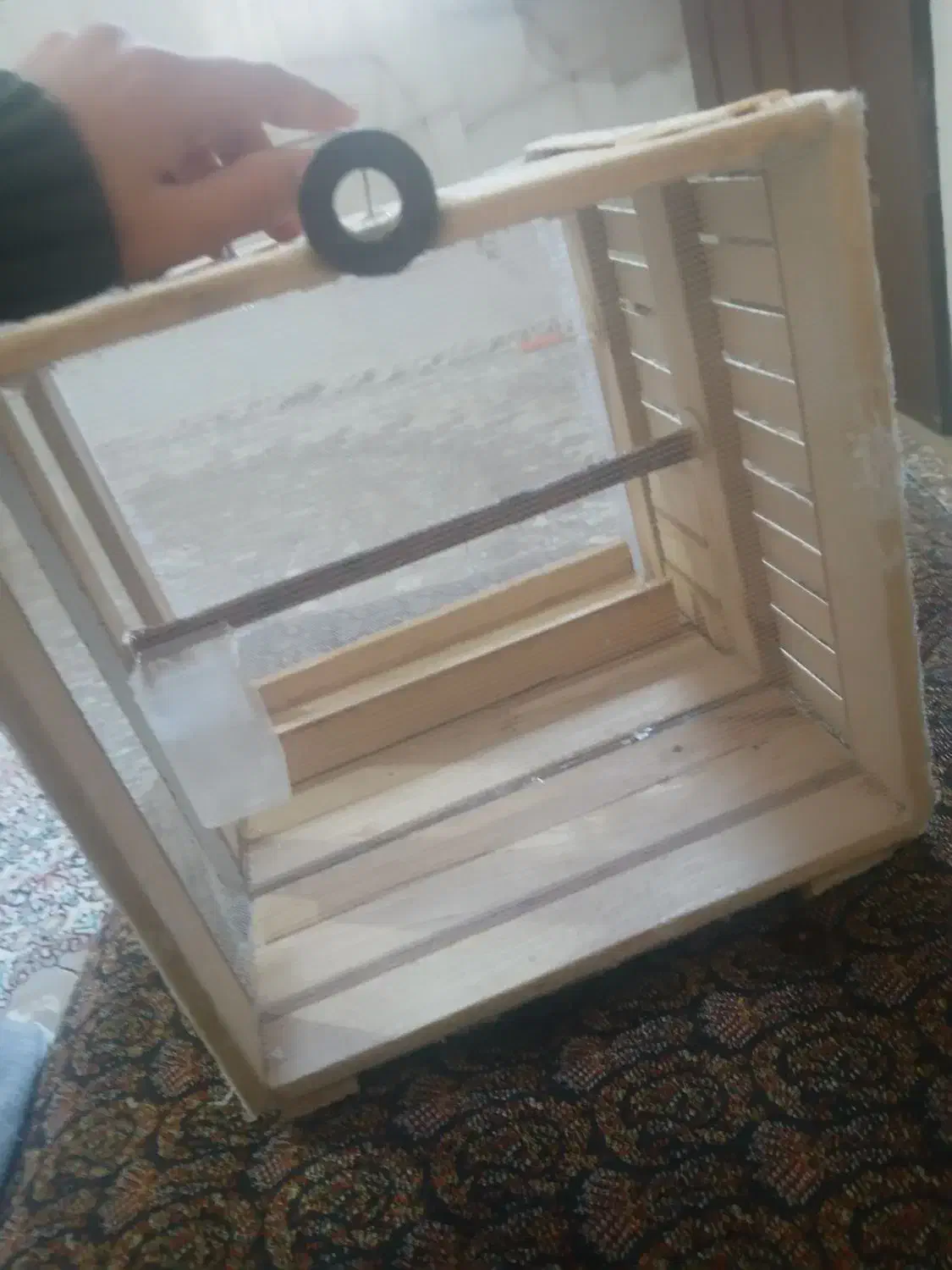 قفس چوبی دست ساز|لوازم جانبی حیوانات|سنندج, |دیوار