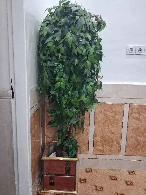 یک درختچه گیلاس|گل مصنوعی|اهواز, سخیریه|دیوار