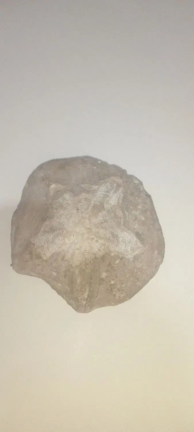 فسیل|کلکسیون اشیاء عتیقه|سراب, |دیوار