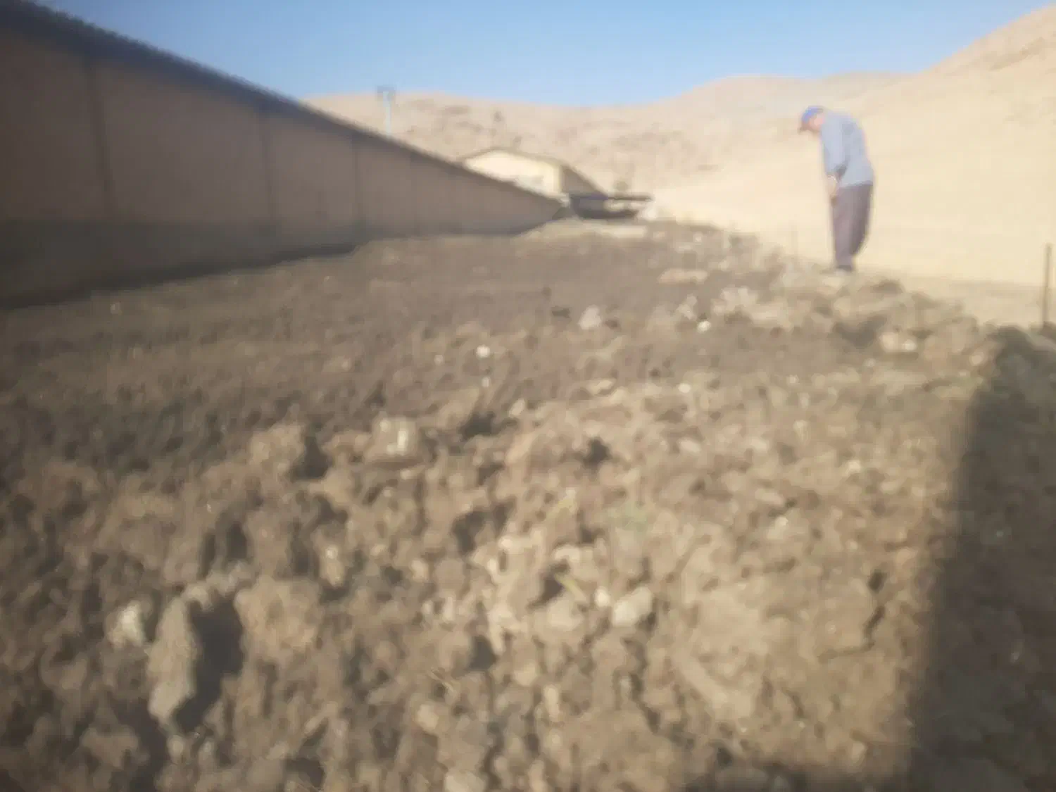 کود مرغی. تتمگذار|خدمات باغبانی و درختکاری|دورود, |دیوار