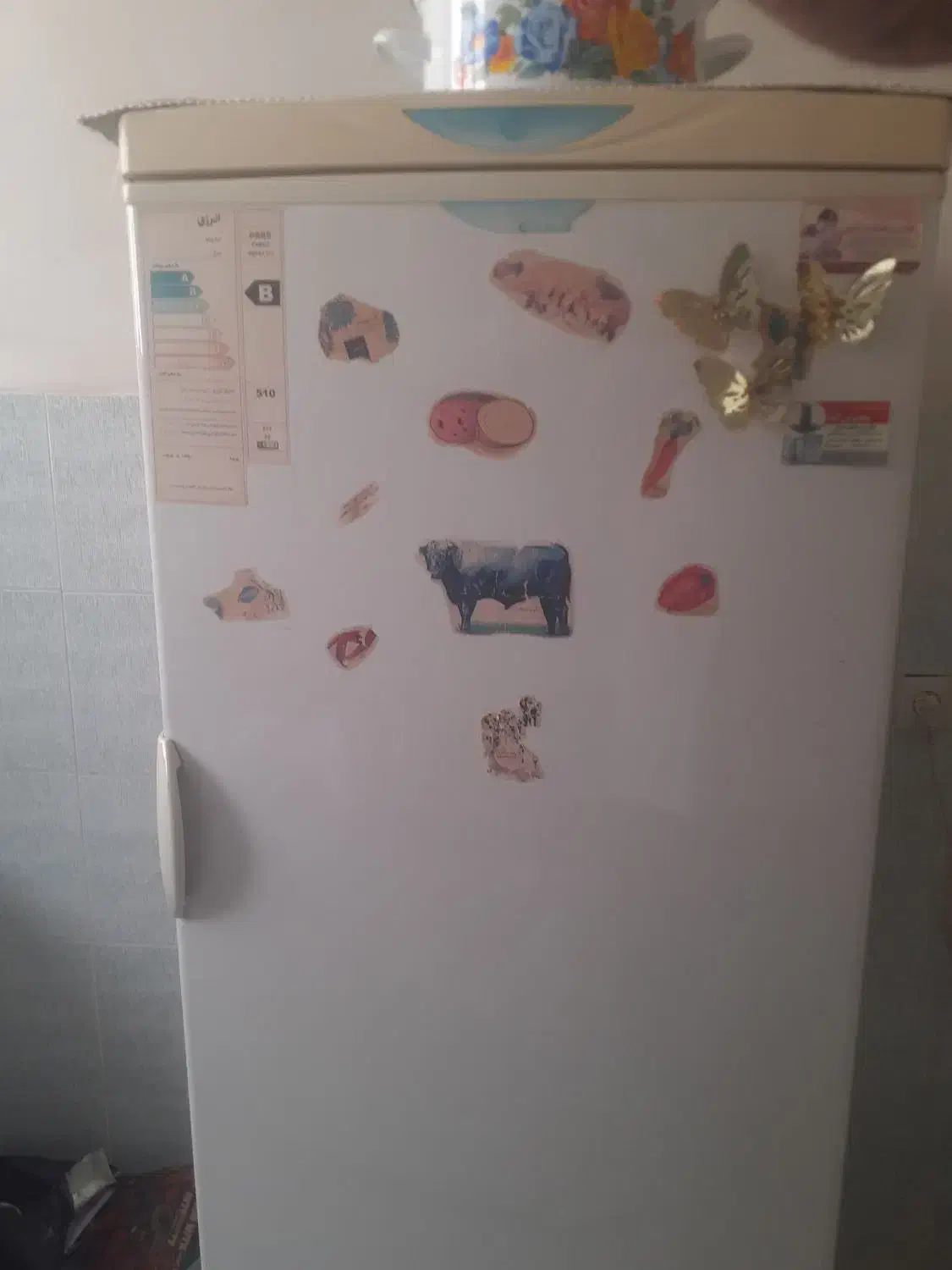 یخچال|یخچال و فریزر|تبریز, |دیوار