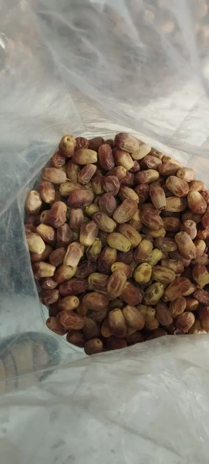 خرمای زاهدی به قیمت عمده|عمدهفروشی|هامون, |دیوار