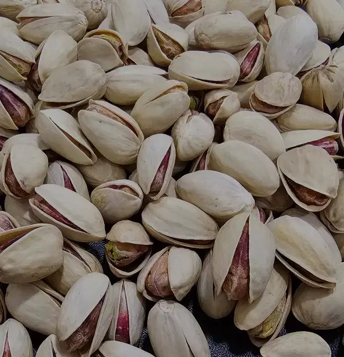 پسته تمام خندان یکدست|عمده‌فروشی|بوشهر, |دیوار