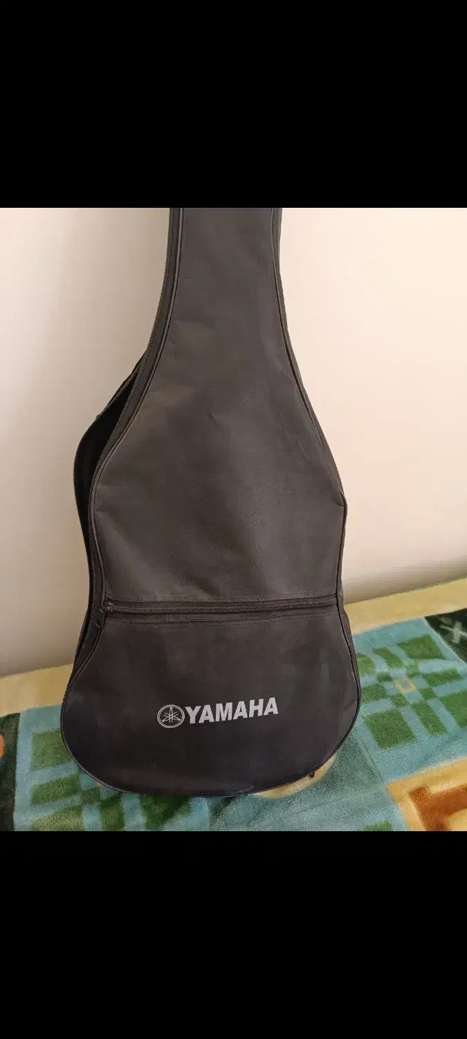 C40 اورجینال|گیتار، بیس، امپلیفایر|فولادشهر, B4|دیوار