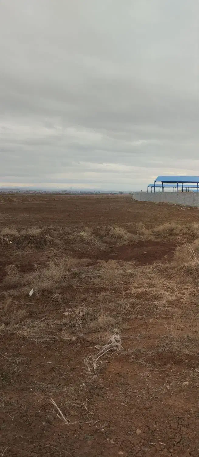 زمین دربیلوردی|فروش دفتر صنعتی، کشاورزی، تجاری|خواجه, |دیوار