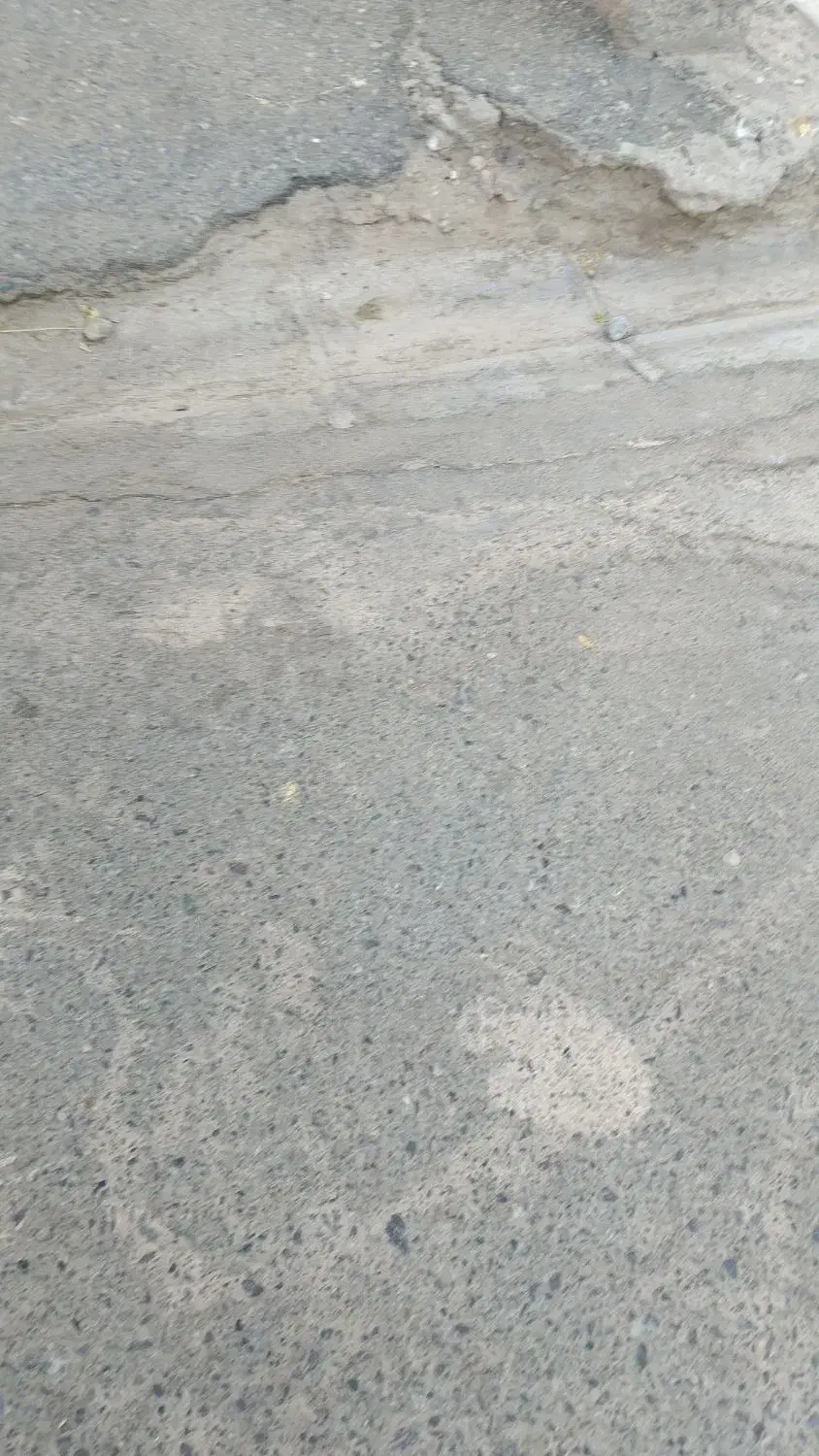 جویای کار شب کار|خدمات نظافت|بیرجند, |دیوار