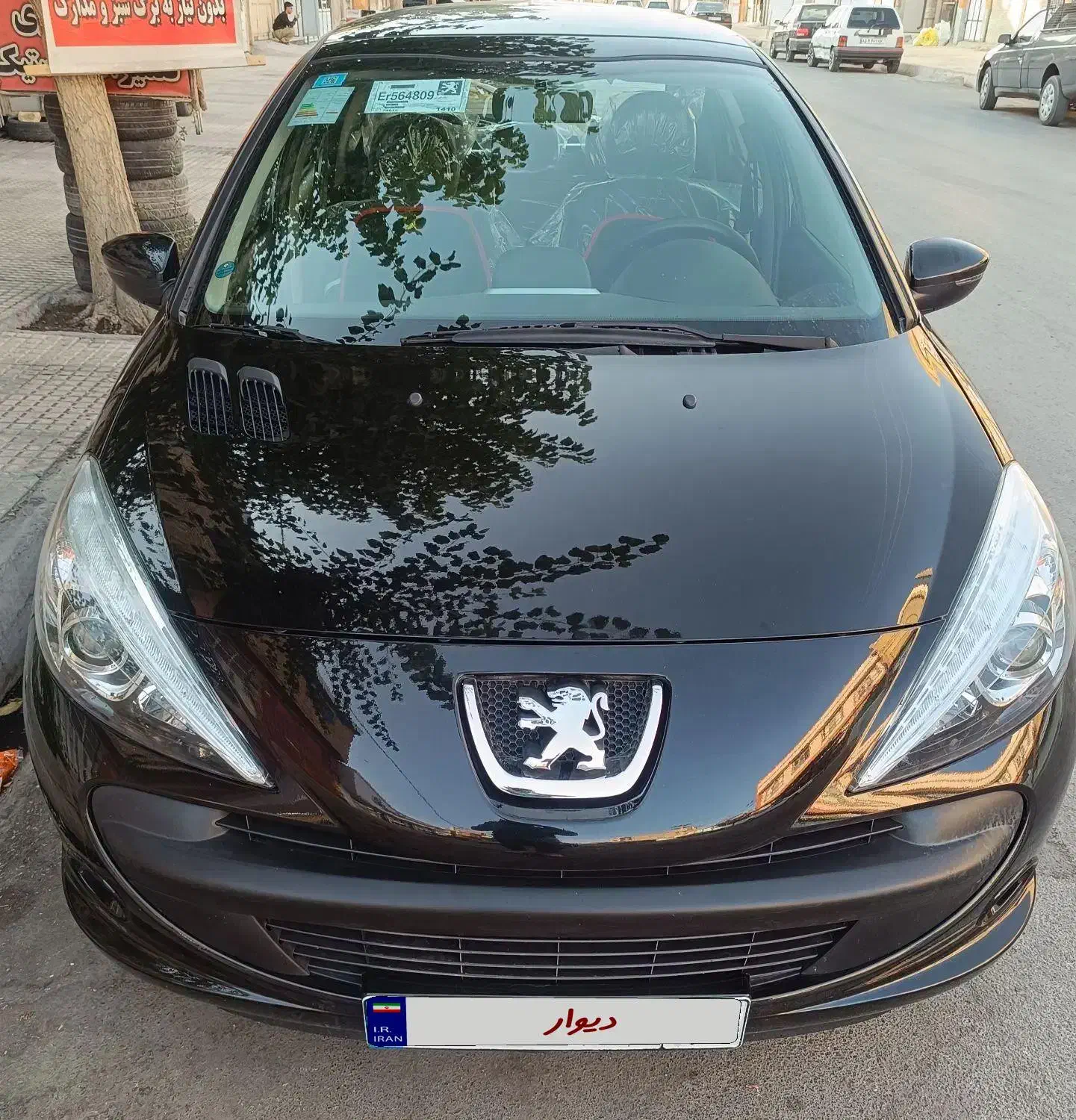 207.پانا.1401|خودرو سواری و وانت|مرودشت, ژیان|دیوار