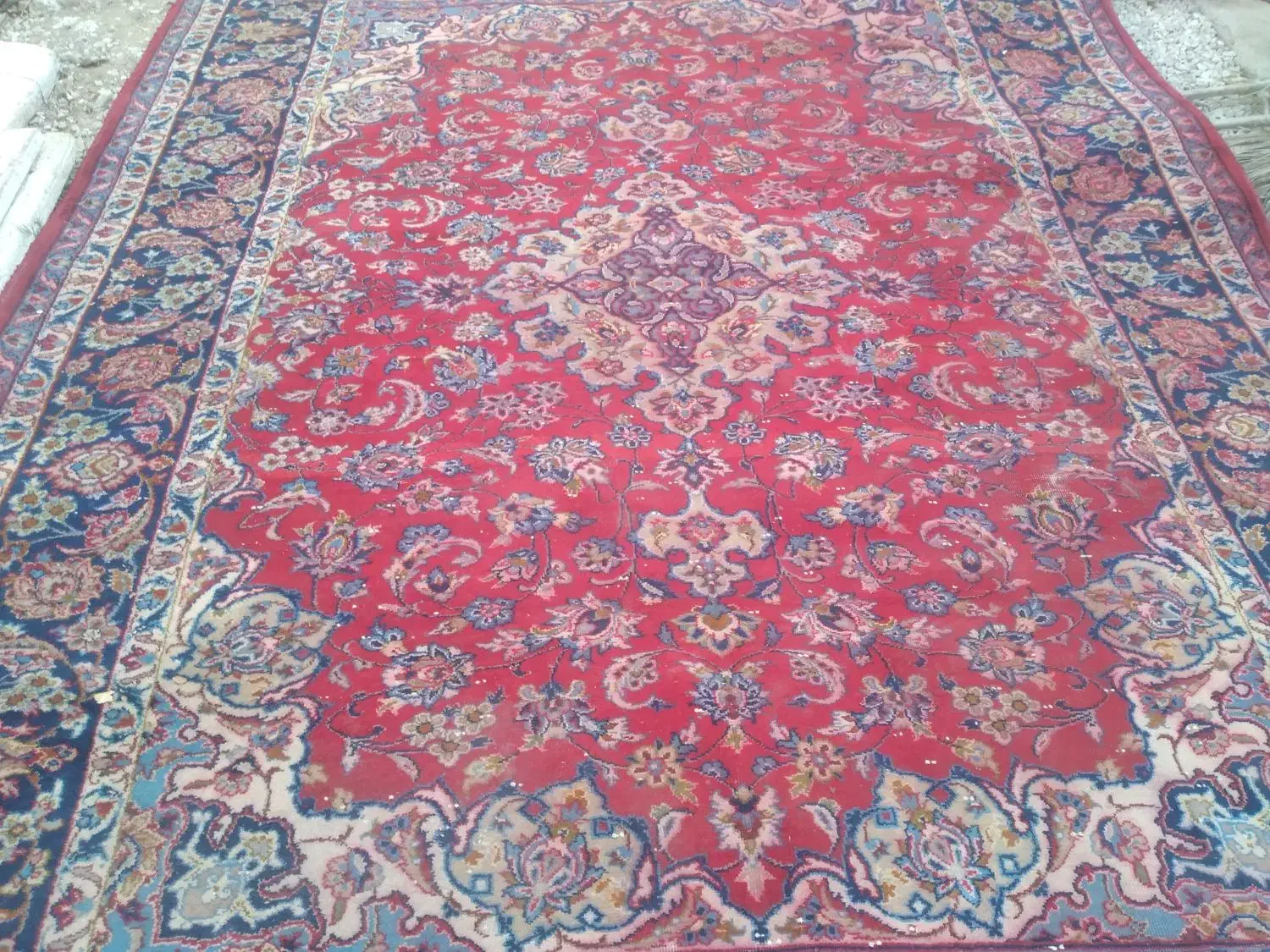 فرش،دست بافت|فرش|جهرم, |دیوار