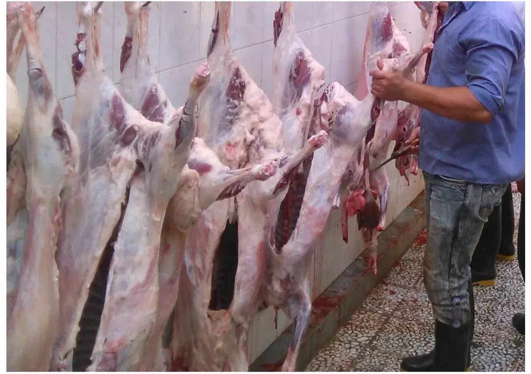 قصاب (سلاخ)|خدمات پیشه و مهارت|گنبد کاووس, |دیوار