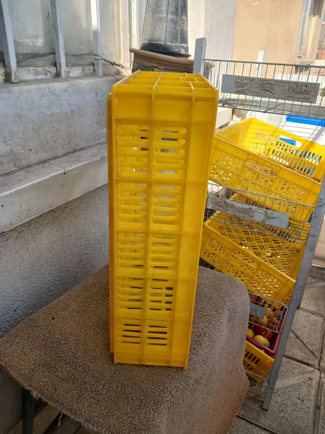 سبد بزرگ میوه|ظروف نگهدارنده، پلاستیکی، یک‌بارمصرف|مشهد, الهیه|دیوار