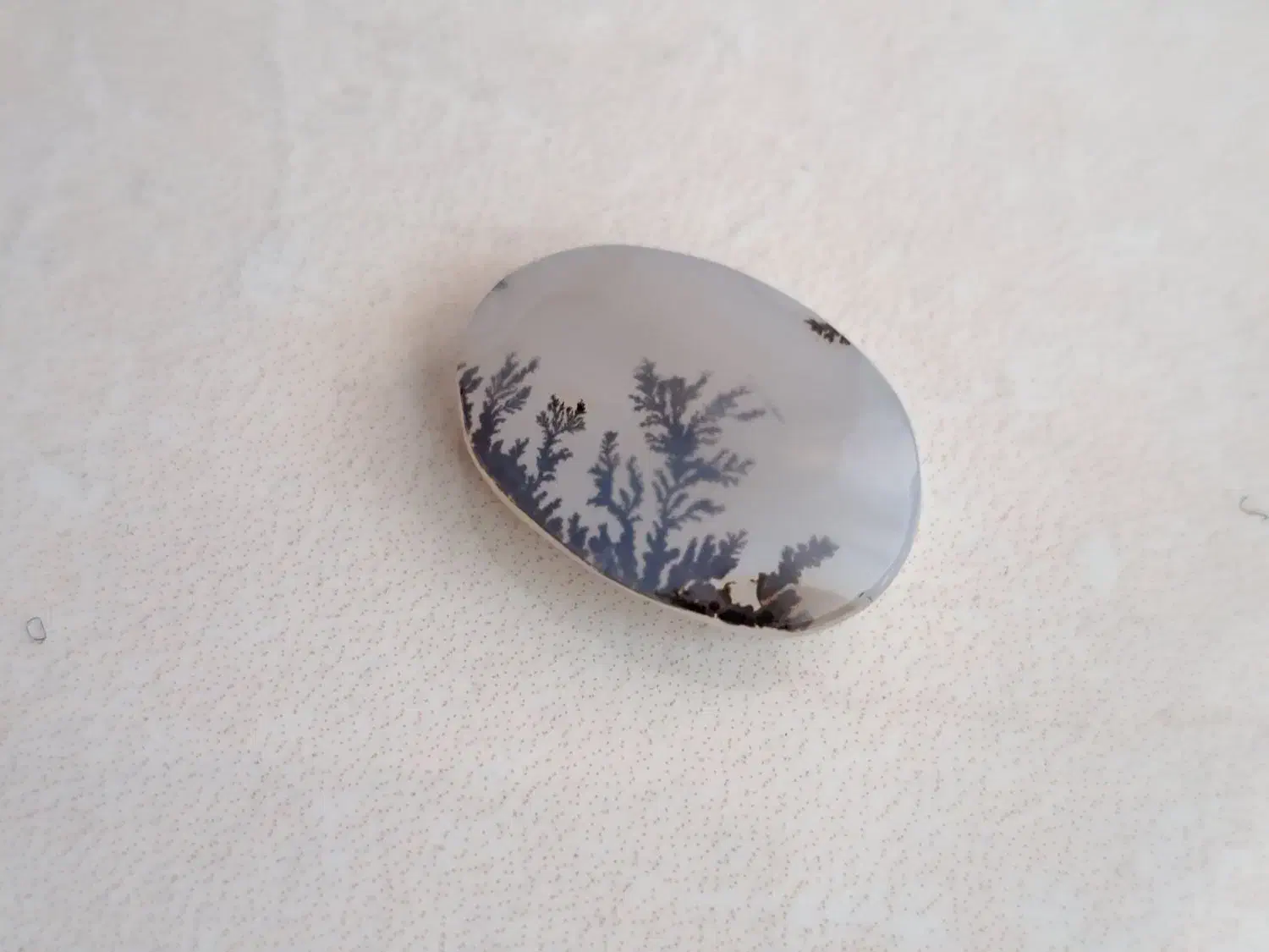 شجر قائن|جواهرات|شیراز, فلکه گاز|دیوار