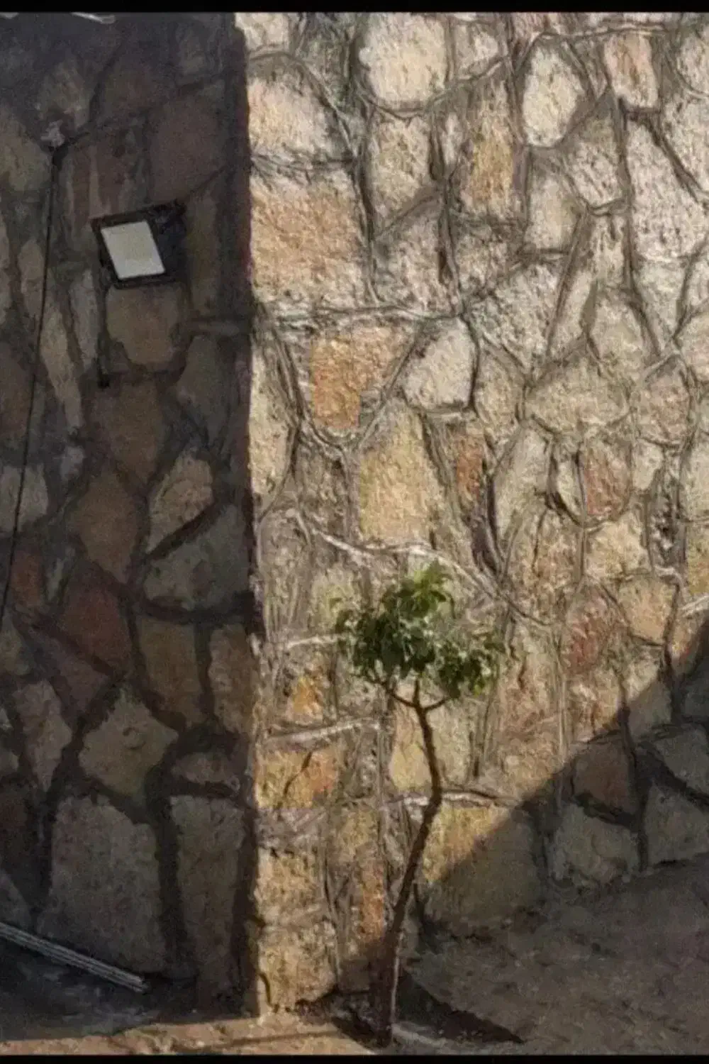 سنگ|مصالح و تجهیزات ساختمان|قوچان, |دیوار