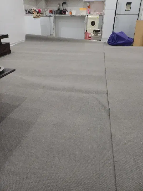 موکت|موکت|گنبد کاووس, |دیوار