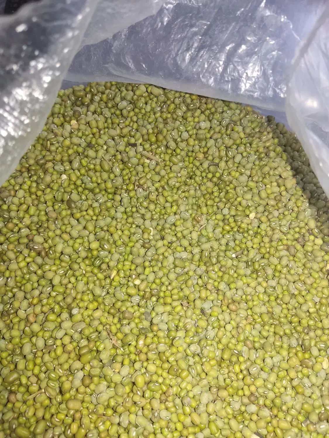 ماش|خوردنی و آشامیدنی|سوق, |دیوار