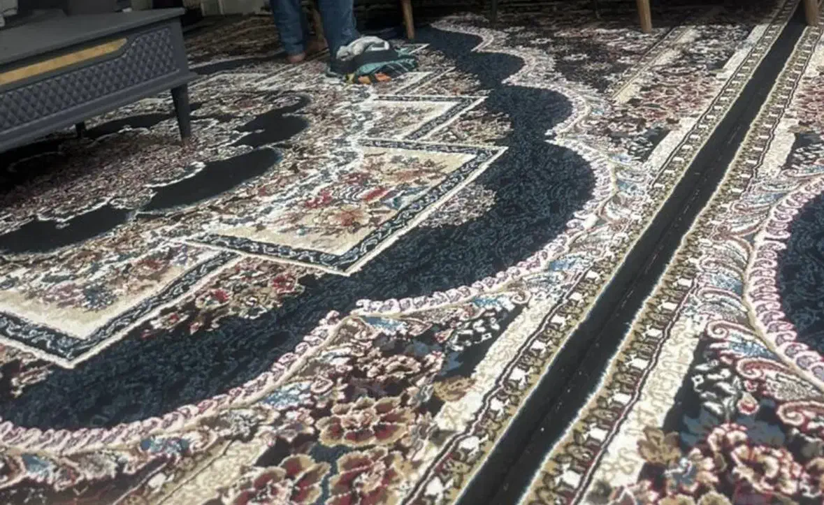 فرش ۱۲ متری|فرش|شیراز, معالی‌آباد|دیوار