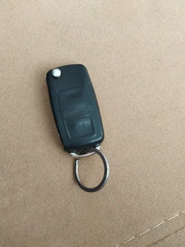 سویچ پیدا شده|اشیا|سنندج, |دیوار