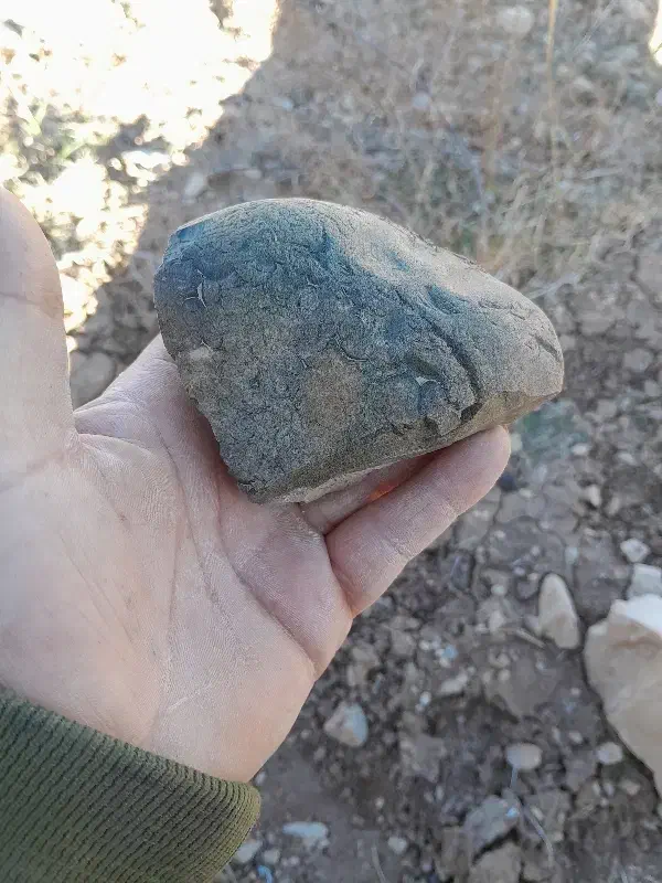 سنگ|کلکسیون اشیاء عتیقه|فسا, |دیوار