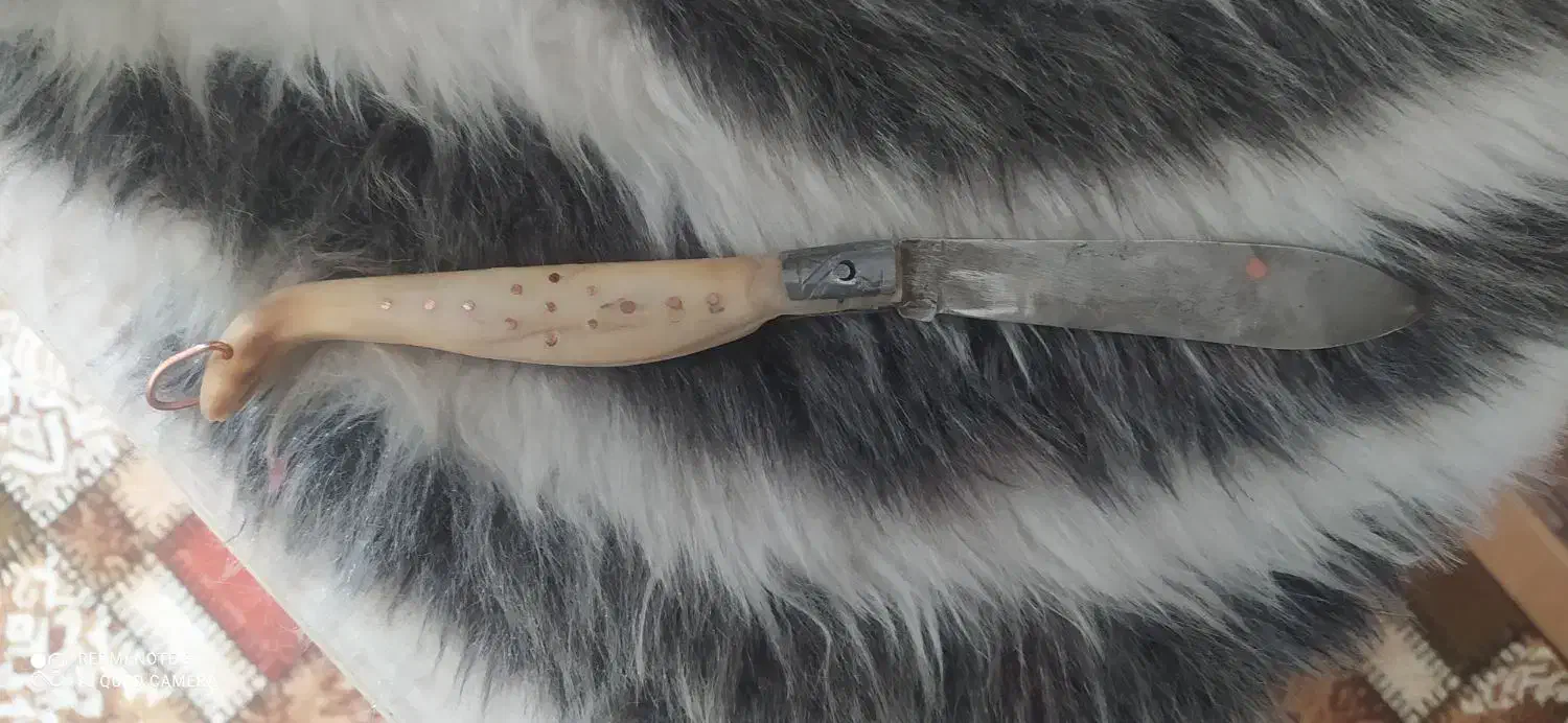 چاقو دسته استخوان|کوهنوردی و کمپینگ|خمینی‌شهر, |دیوار