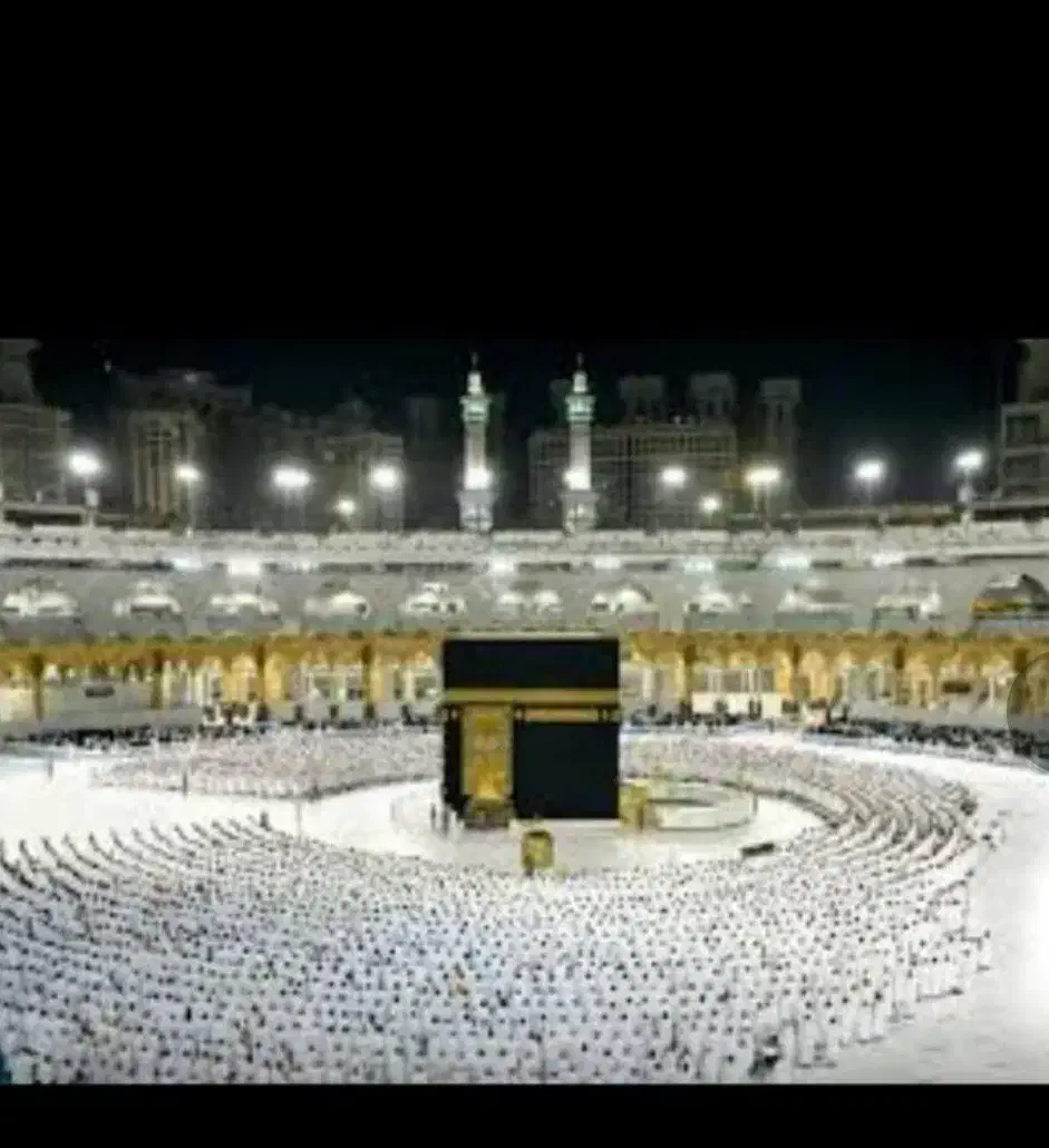 دو عدد فیش تمتع|تور و چارتر|تهران, سازمان آب|دیوار