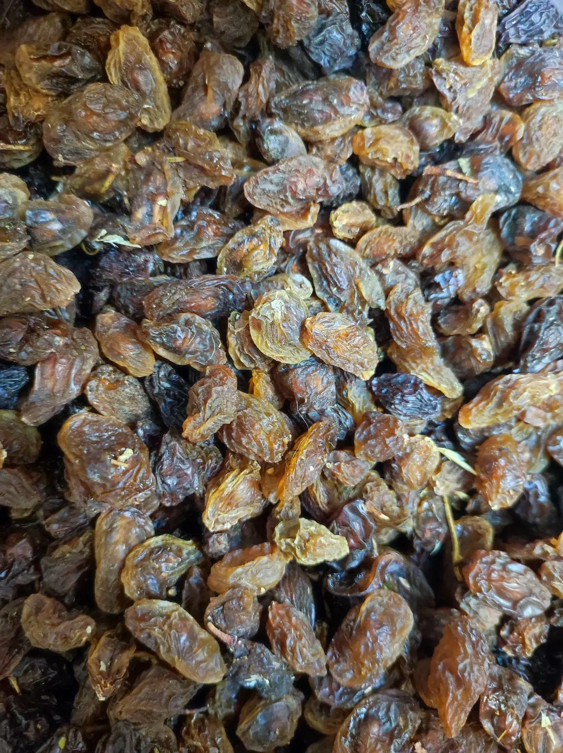 مویز|خوردنی و آشامیدنی|شیراز, رازی|دیوار