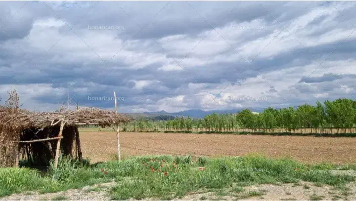 فروش زمین کشاورزی بعد از دوراهی کرزان|فروش زمین و ملک کلنگی|تویسرکان, |دیوار