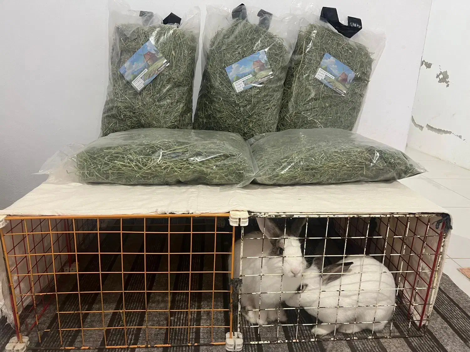 یونجه|لوازم جانبی حیوانات|تهران, تهرانسر غربی|دیوار