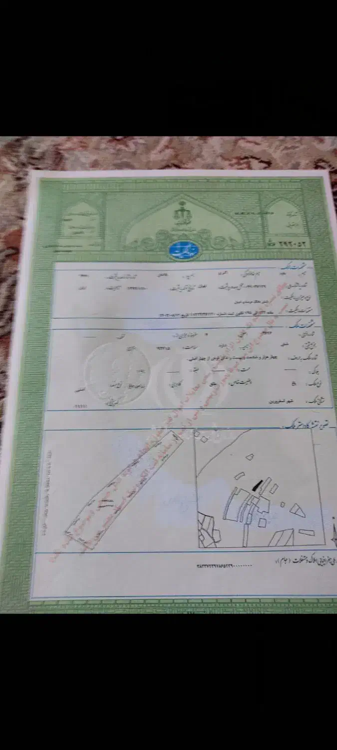 فروش بک هکتار باغ انگور سه ساله|فروش دفتر صنعتی، کشاورزی، تجاری|اسفرورین, |دیوار