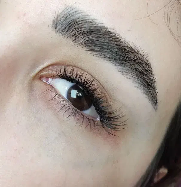 آموزش و خدمات اکستنشن مژه،کاشت مژه ،لیفت مژه ابرو|خدمات آرایشگری و زیبایی|شهرضا, |دیوار