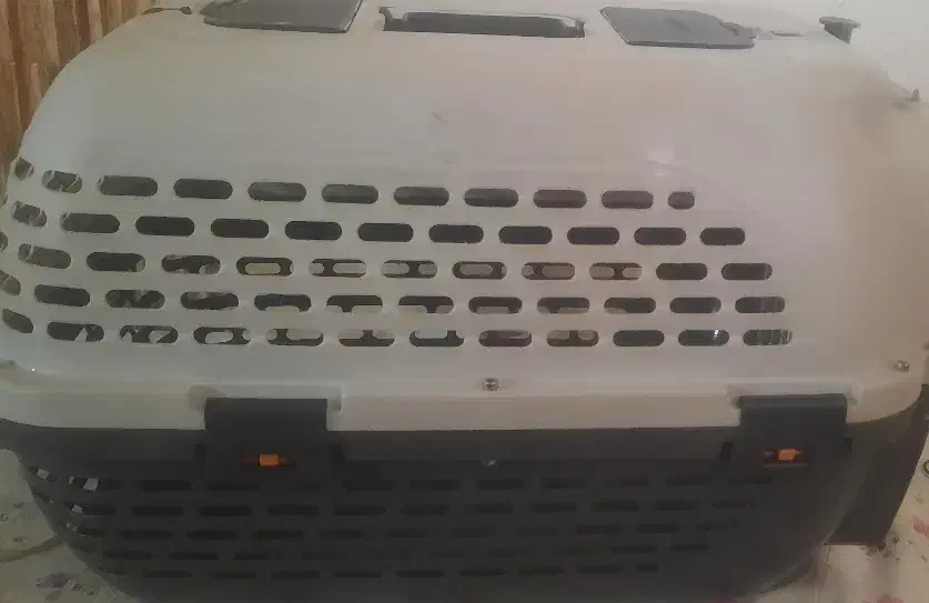 باکس سگ|لوازم جانبی حیوانات|اصفهان, نقش جهان|دیوار