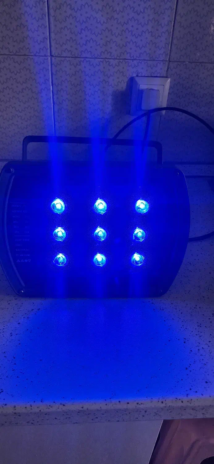پروژکتور RGB|تلویزیون و پروژکتور|تهران, سید خندان (جلفا)|دیوار