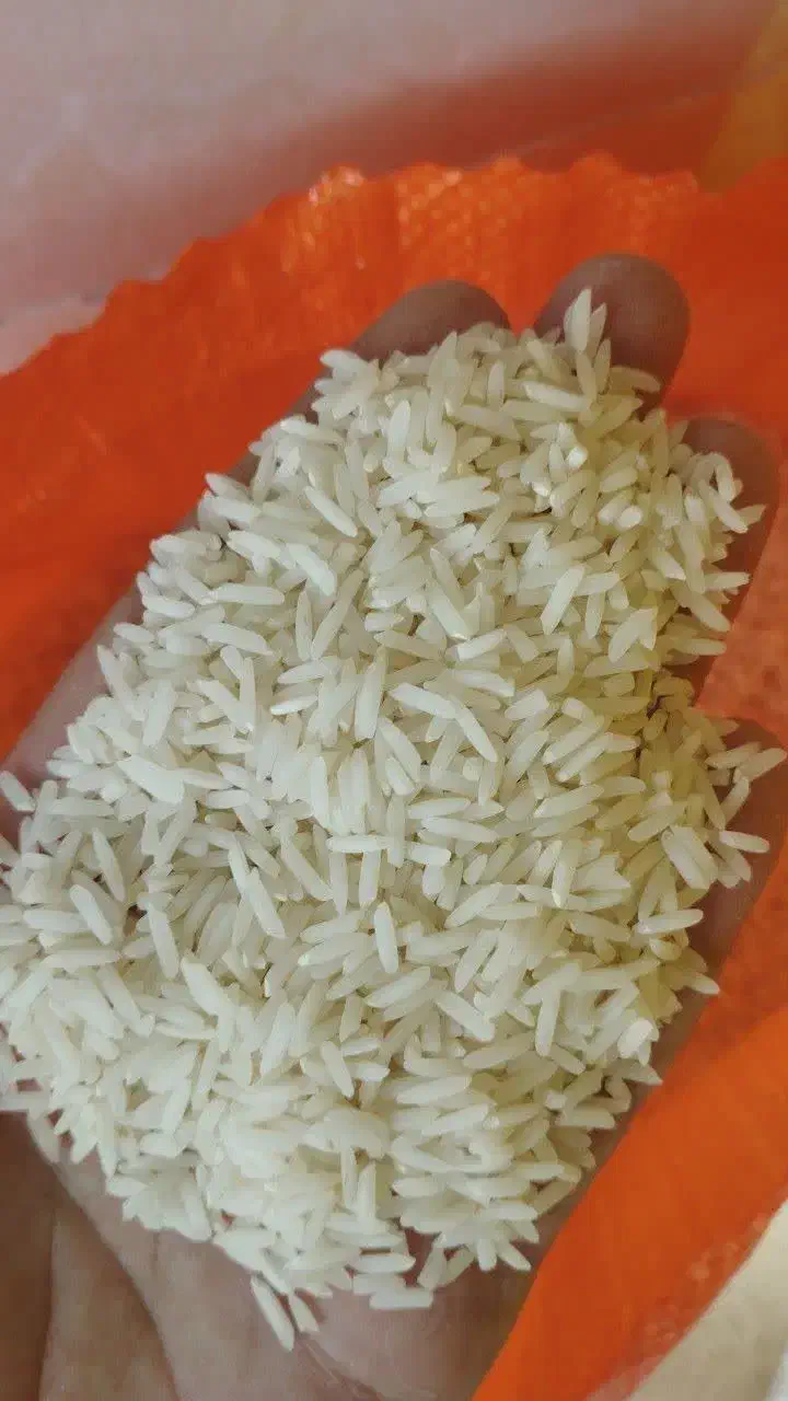 فروش برنج طارم هاشمی بوجاری|خوردنی و آشامیدنی|ساری, |دیوار