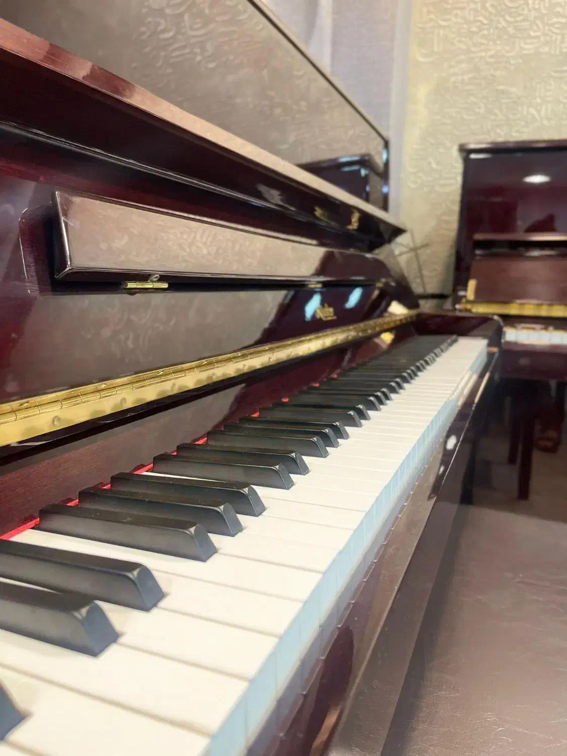 یاماها یانگ چانگ سمیک پتروف روزنبرگ نوازندگی»|پیانو، کیبورد، آکاردئون|نطنز, |دیوار