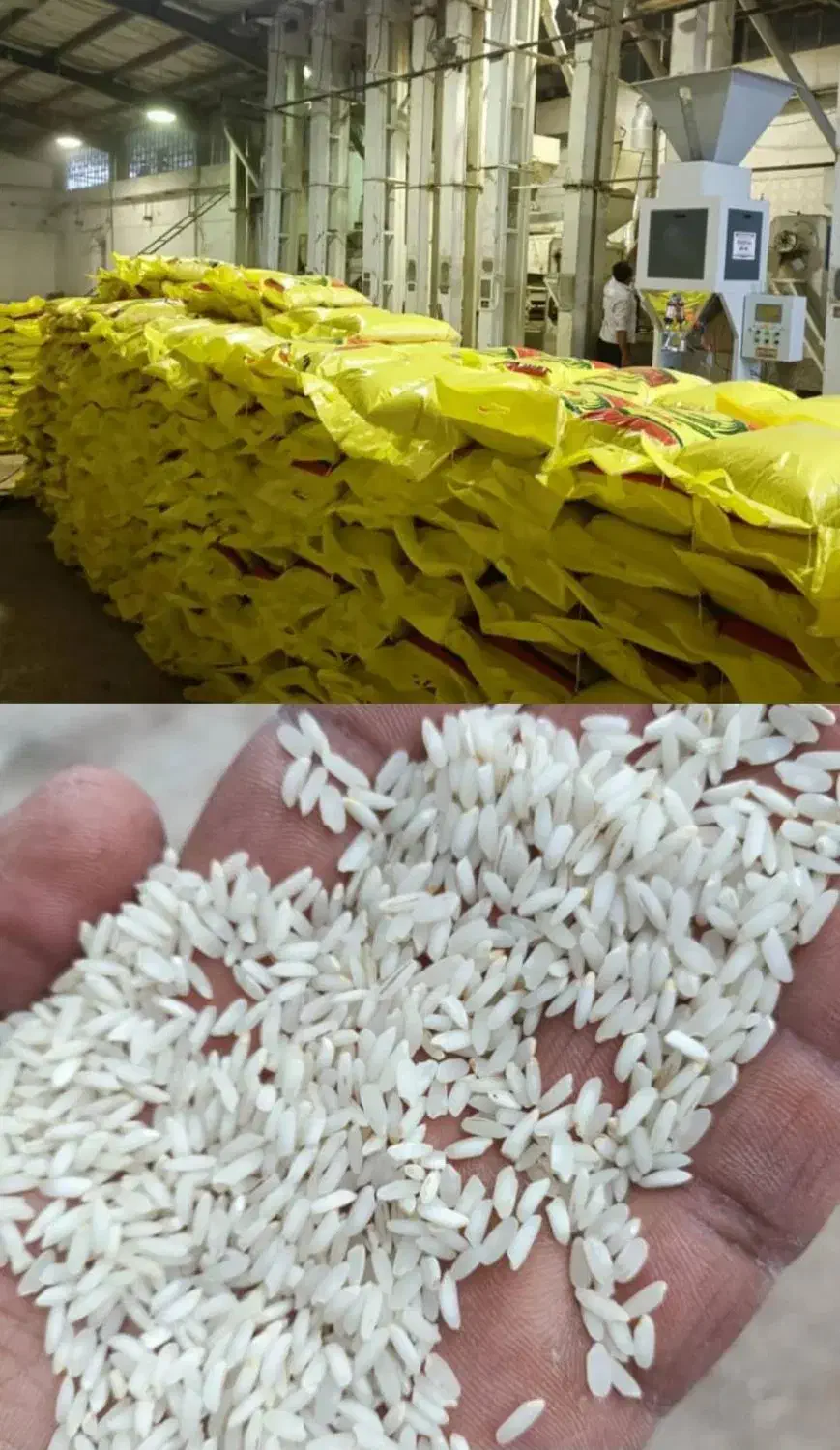 برنج عنبربو درجه یک معطر امسالی سبز و سفید|خوردنی و آشامیدنی|اهواز, بنکداری|دیوار