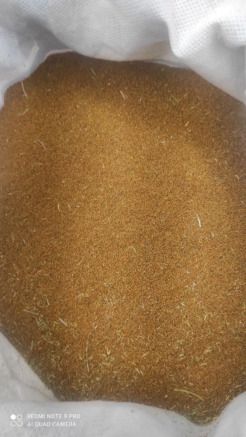 گیاهی|خوردنی و آشامیدنی|دهگلان, |دیوار